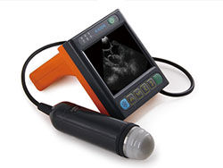 Digital-medizinischer Veterinärultraschall-Scanner mit 3,5-Zoll-Bildschirm und Frequenz von Porbe 2.5M, 3.5M